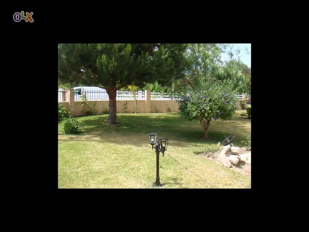 Jardim com rega automatica